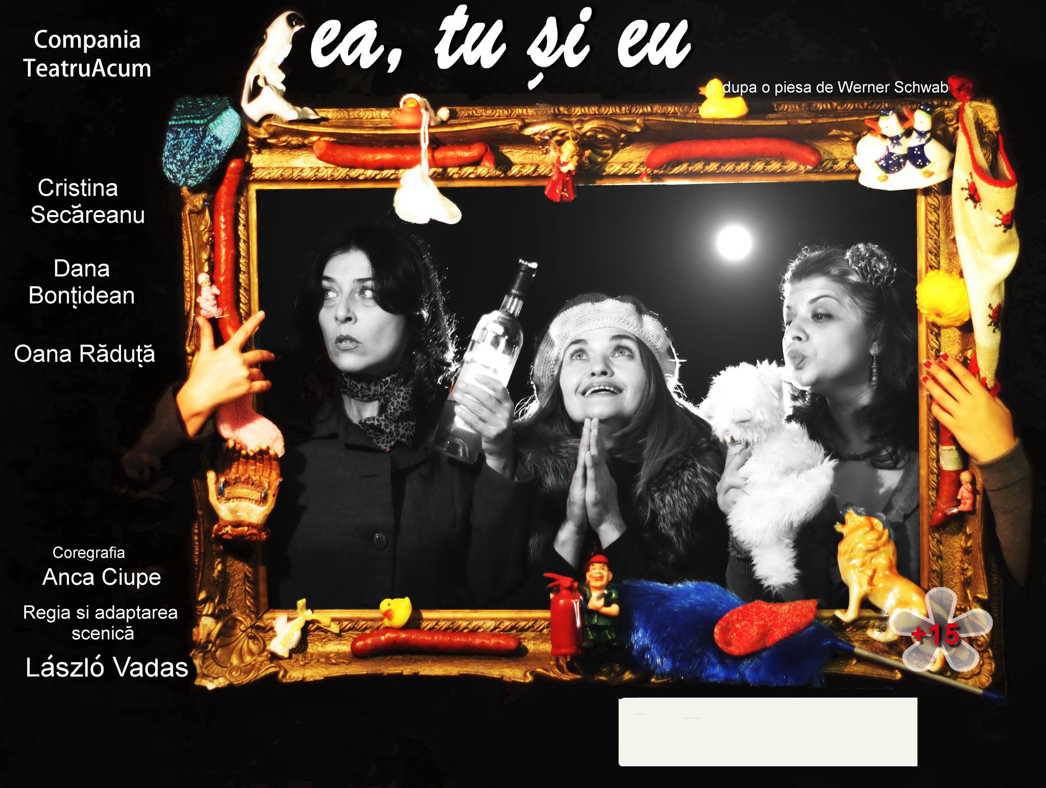 26.11 – Piesa de teatru EA, TU si EU la Teatrul Puck