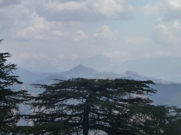 ‘Eat, pray, love” – în variantă personală sau Agonie şi Extaz pe drumul spre Himalaya’