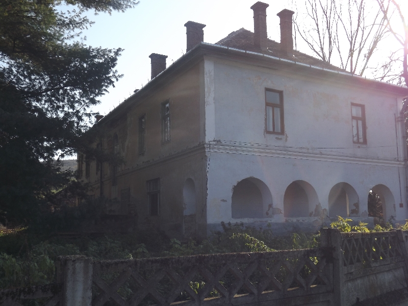 Casa lui Alexandru Vaida Voevod stă să se prăbuşească