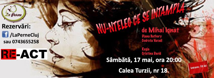 17.05 Teatru –  Nu înțeleg ce se întâmplă