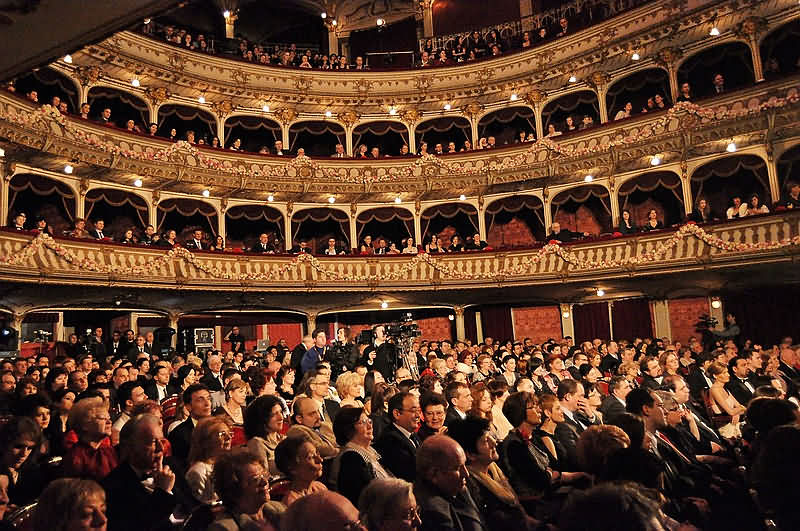 24.02 Operetă: Ana Lugojana