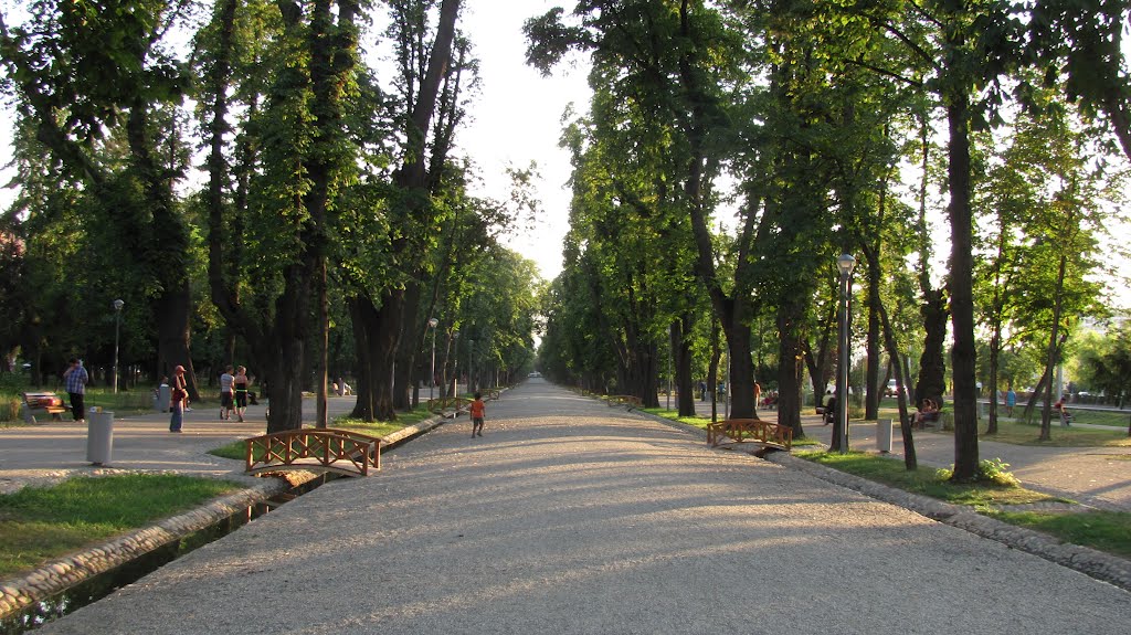06.08  Lectură în parc