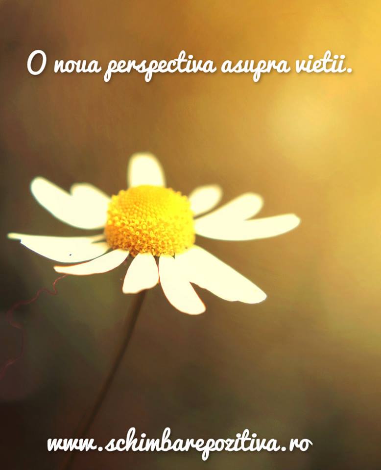 07.10 Seri pozitive: Fii fericit ACUM