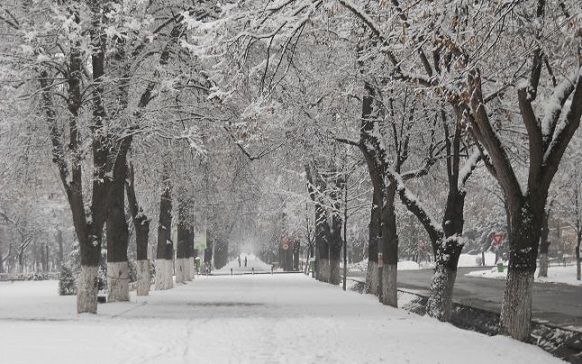 28-30.11 Ce facem weekend-ul acesta in Cluj