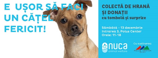 13.12 Colectă de hrană pentru animalele abandonate