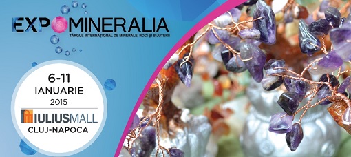 11.01 ExpoMineralia