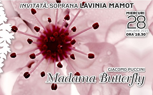 28.01 Madama Butterfly