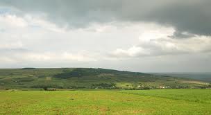 The hayfields of Cluj (Coparsaie and Craiu`s Valley)
