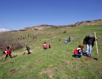 30.03 – 03.04 Acțiunea de plantare în Pădurea Clujenilor