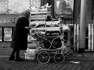 02.05 Expoziţie de fotografie “Motus”