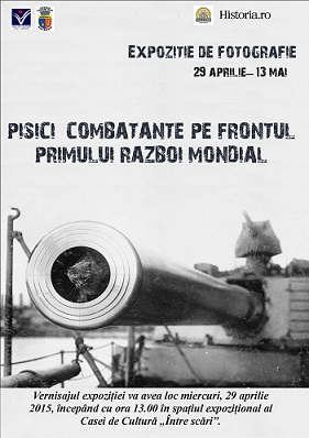 29.04-13.05 Expozitia: Pisici combatante pe frontul Primului Război Mondial