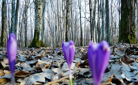 03-05.04 Ce facem weekend-ul acesta in Cluj