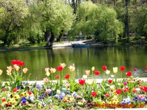 24-26.04 Ce facem weekend-ul acesta in Cluj