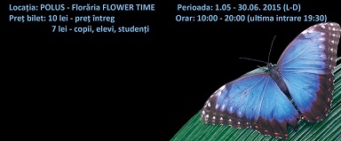 11.06 Butterfly Land – Expoziție de fluturi tropicali vii