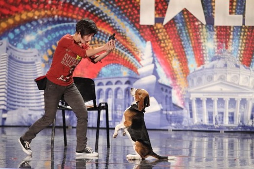 05.08 Programul Cric-Cric