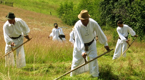 05-06.09 Serbare Campeneasca Negreni – Bogomir