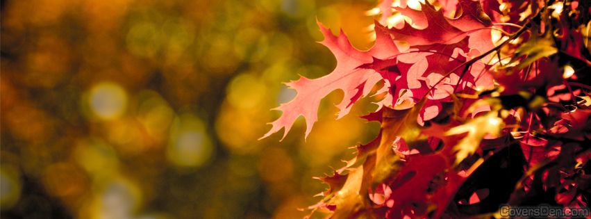 09-11.10 Ce facem weekend-ul acesta in Cluj