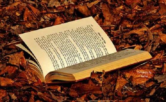 16-18.10 Ce facem weekend-ul acesta in Cluj