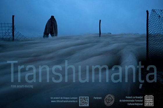 18.11 Transhumanța