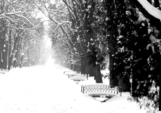 18-20.12 Ce facem weekend-ul acesta in Cluj