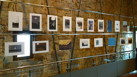03.02 Expozitie foto: Ce inseamna padurea Hoia-Baciu pentru tine?
