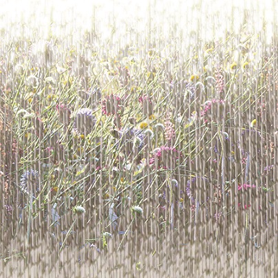 19.05-12.06 Expoitie de arta: Grădini de lumină