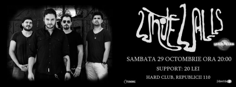 29.10 Concert White Walls