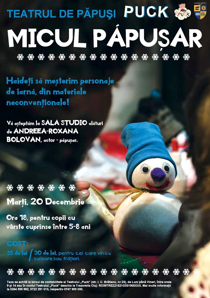20.12 Piesa de teatru: Micul păpușar