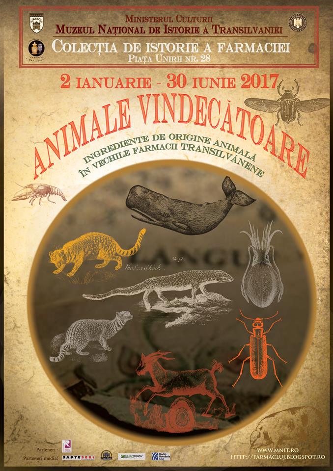 03.01-30.06 Expozitia: Animale vindecatoare