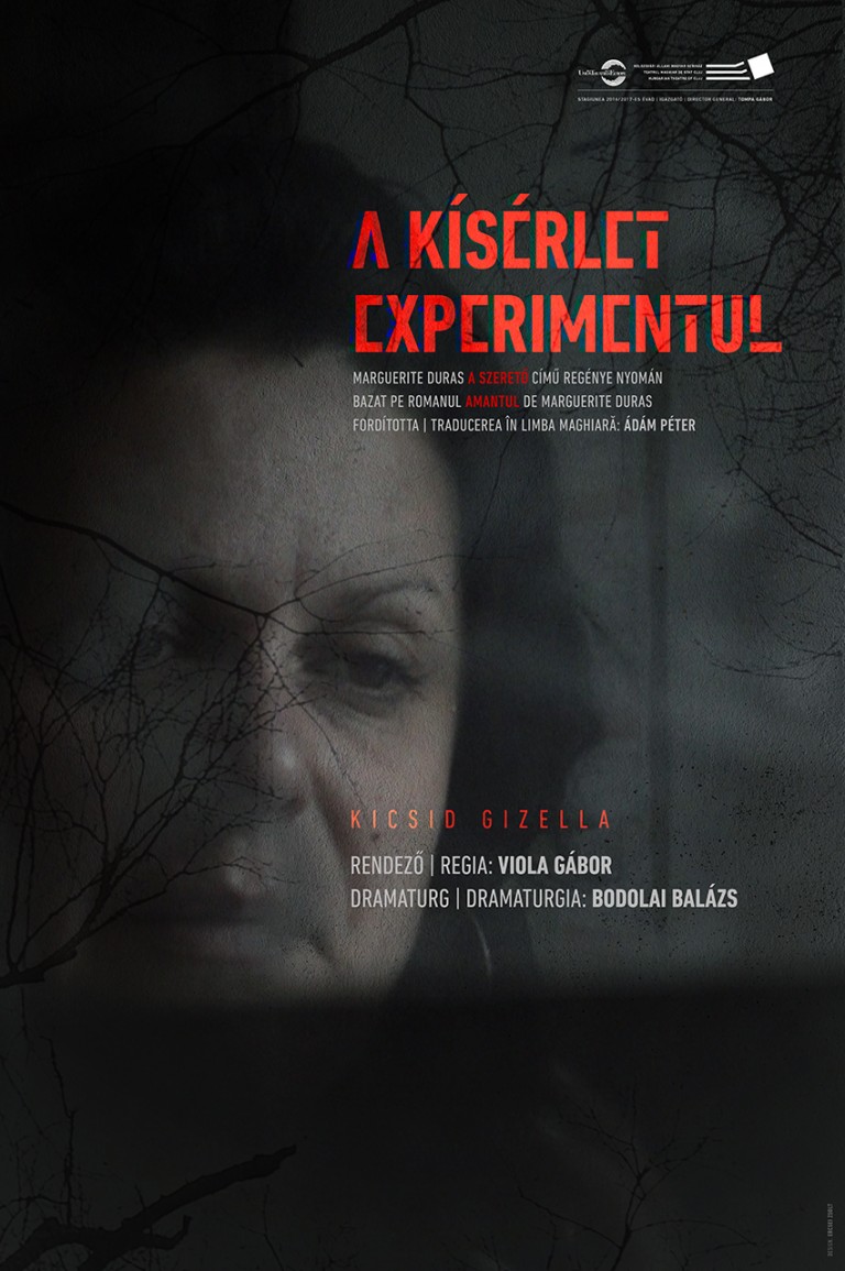 26.02 Piesa de teatru: Experimentul