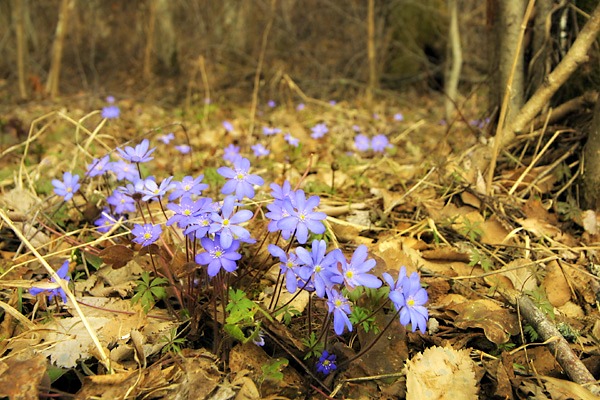 21-23.04 Ce facem weekend-ul acesta in Cluj