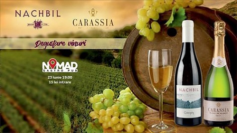 23.06 Degustare de vinuri
