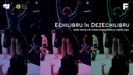 25.10 Atelier: Echilibru in dezEchilibru