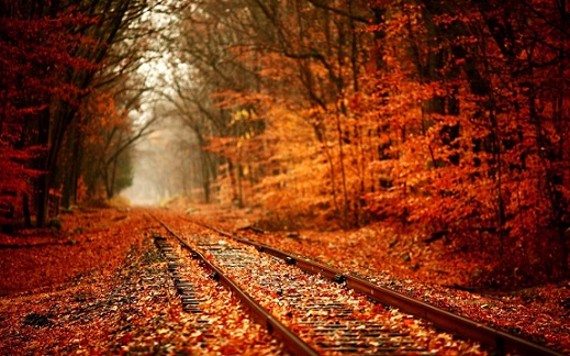 10-12.11 Ce facem weekend-ul acesta in Cluj