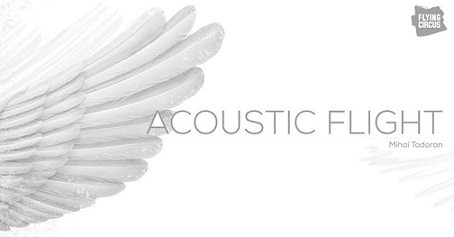 28.01 Concert: Acoustic Flight