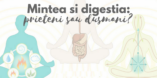 22.02 Seminar: Mintea si digestia: prieteni sau dusmani?