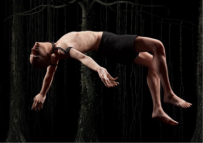 24.05 Performance: If a Tree Were to Fall