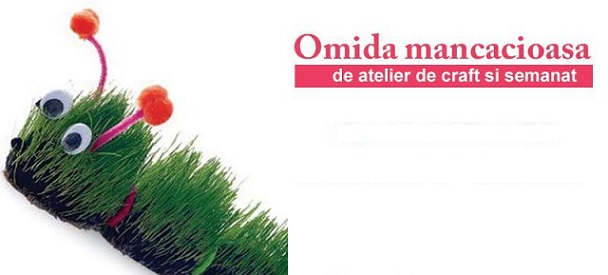 9.05 Atelier de craft si semanat: Omida mancacioasa