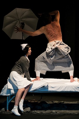 12.06 Piesa de teatru: Elefantul