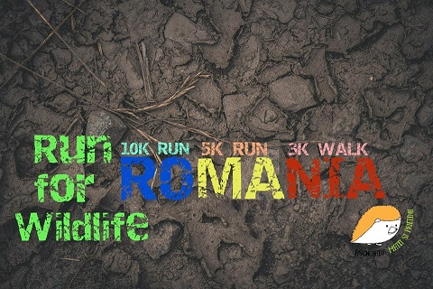 14.06 Competiţie sportivă caritabilă: Run for Wildlife Romania
