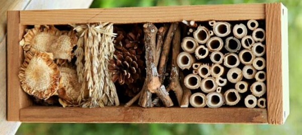 16.08 Atelier DIY pentru copii: Hotelul insectelor
