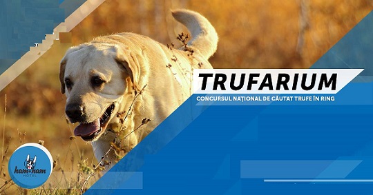 26.08 Concurs național de căutat trufe în ring: Trufarium