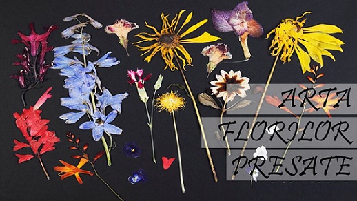 13.09 Atelier: Arta florilor presate