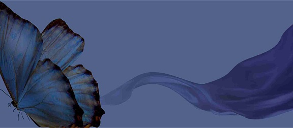 30.09 Spectacol de opera: Madama Butterfly – Premieră