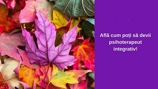 20.09 Curs deschis de prezentare a psihoterapiei integrative