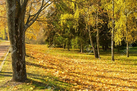 19-21.10 Ce facem weekend-ul acesta in Cluj