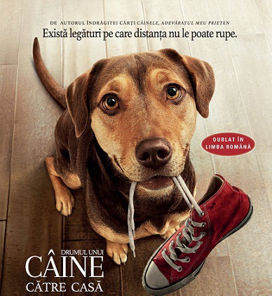 27.01 Film: A Dog’s Way Home