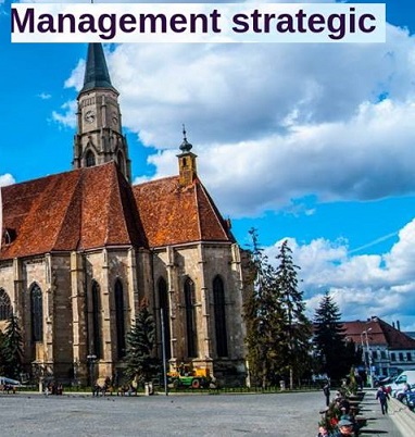 12.02 Curs: Management strategic