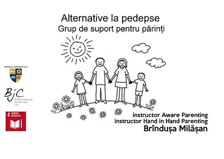 4.04 Seminar: Alternative la pedepse