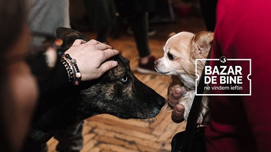 13.04 Eveniment caritabil: Bazar de bine